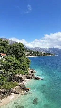 Photo de IKOVAC