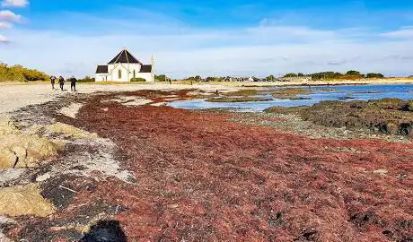 Photo de Chapelle Notre-Dame-de-la-Côte