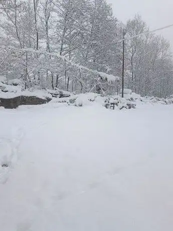 Photo de Pazarsuyu tarihi su değirmeni