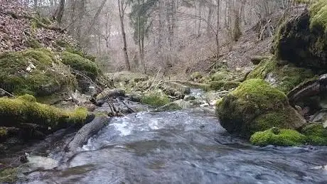 Photo de Wulfbachquellhöhle