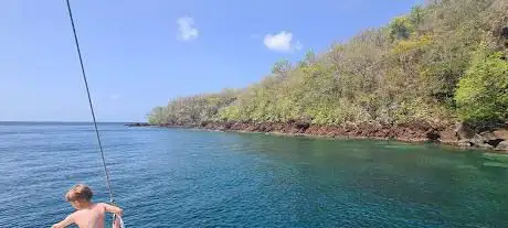 Photo de Catamaran Kokoumdo sortie dauphins