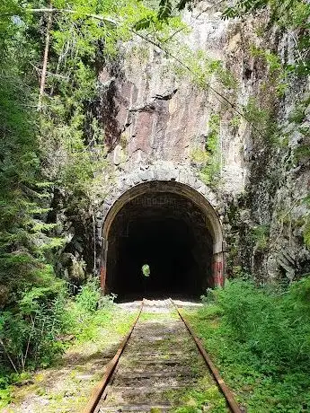 Photo de Järnvägsföreningen Dellenbanans Vänner