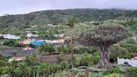 Photo de Mirador del Drago