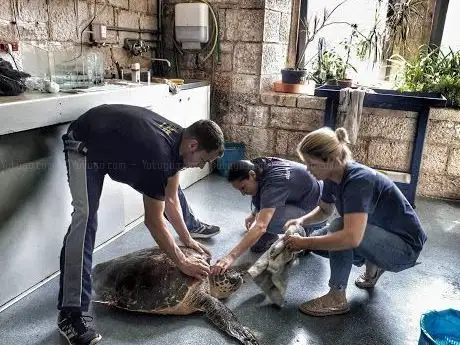 Photo de Aquarium Pula