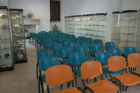 Photo de Museo della Conchiglia e del Corallo