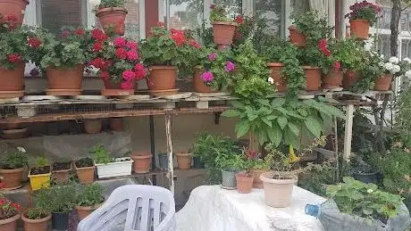 Photo de Taştepe Parkı