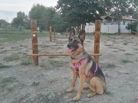 Photo de Area Cani 