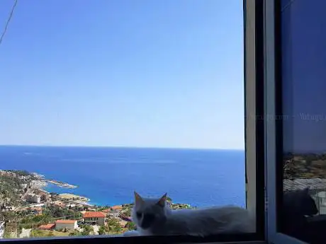 Photo of Montenero - Cian D'innamurai