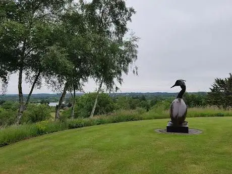 Photo de Geoffrey Dashwood - Contemporary Bird Sculptor