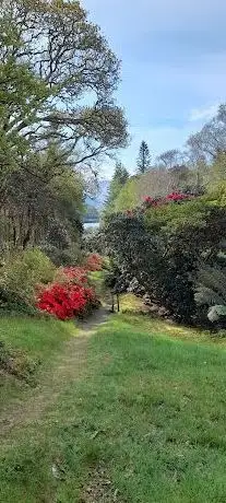 Photo de Derreen Garden