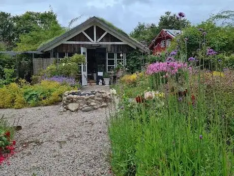 Photo de Gaia Life kursgård & retreat
