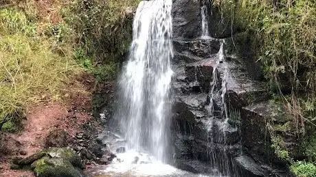 Photo de Ballard Waterfall Forest Recreational Area