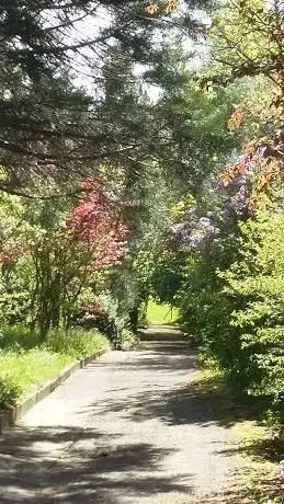 Photo de MÜRDTER Garten- und Landschaftsbau GmbH