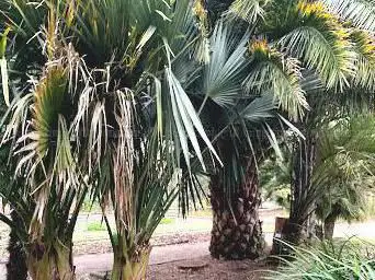 Photo de Jardin Botanique du Jardin Public
