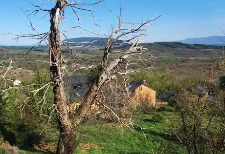 Photo de Mirador de Santa Bárbara