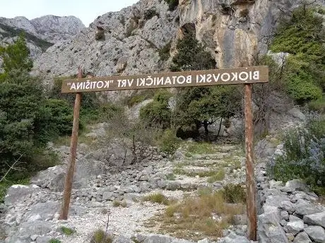 Photo de Botanical garden