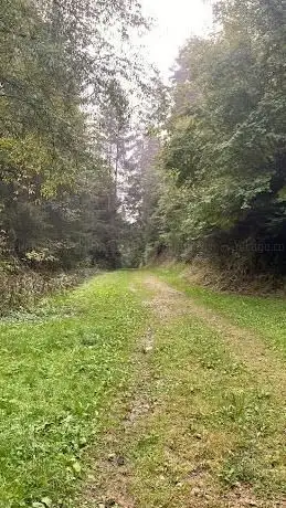 Photo de Arboretum de Royat