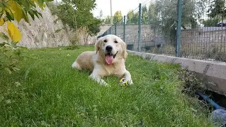 Photo de Kılıçaslan Parkı