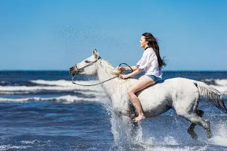 Photo de Essaouira Beach Horse Riding