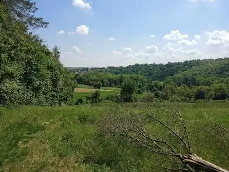 Photo de Réserve biologique de Waldkugel