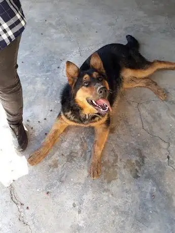 Photo de Çocuk Oyun Alanı