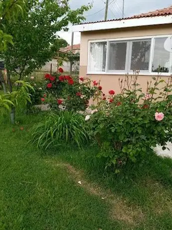 Photo de Hacısungur Parkı