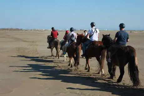 Photo of MAS DE L'ESPIGUETTE