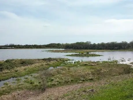 Photo of Réserve naturelle régionale Terres et étangs de Brenne  Massé  Foucault