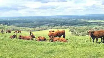 Photo de Ditchling Beacon