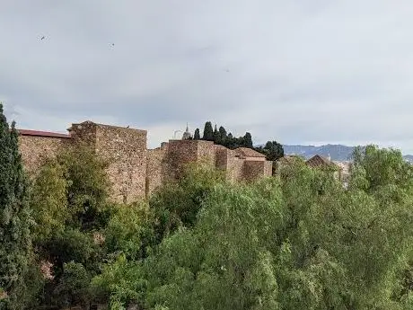 Photo of Torre Tavira