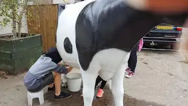 Photo de White Post Farm