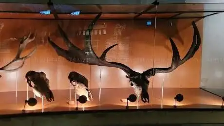 Photo de Museonder