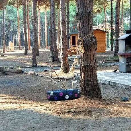 Photo de Park Orman Çarşamba