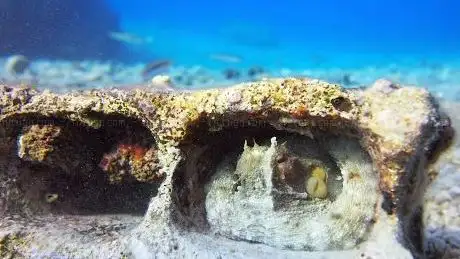 Photo de Bikini Dive