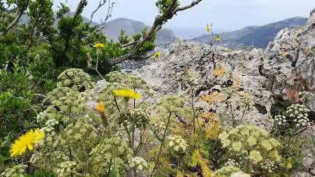 Photo de Pizzo Rufuliata