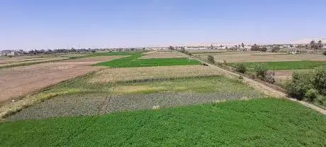 Photo de شارونة مغاغة المنيا
