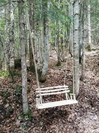 Photo de Geisterwald Rußbach