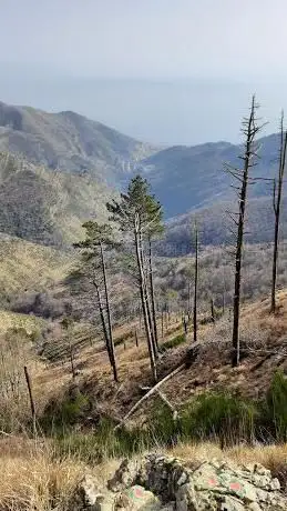 Photo de Valico di Monte Cordona