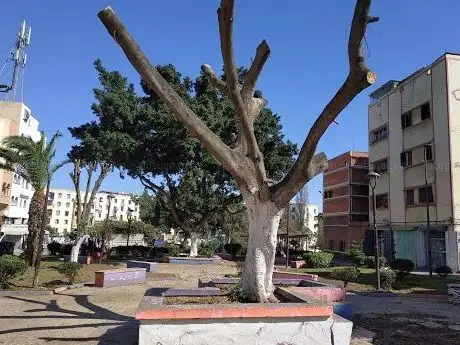 Photo de Bournazel Garden