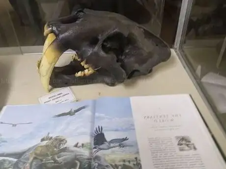 Photo de Sveriges Fossilmuseum