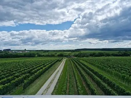 Photo de Blaufränkischblick Horitschon Viewpoint