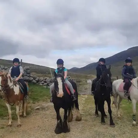 Gamekeepers Lodge Equestrian Centre