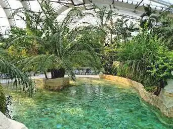 Photo de Parc aquatique Aqua Mundo Center Parcs Le Bois aux Daims