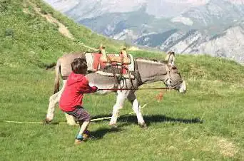 Photo de Queyr'âne