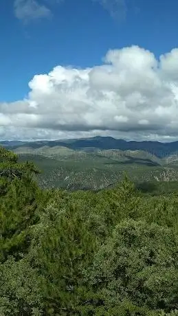 Photo de Kizilcahamam City Forest
