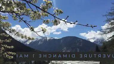 Photo de alpin Flore-Alpe Botanical Garden