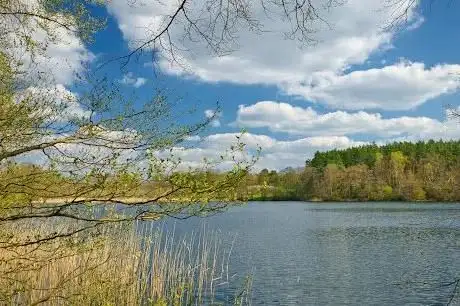 Photo de Oberer See