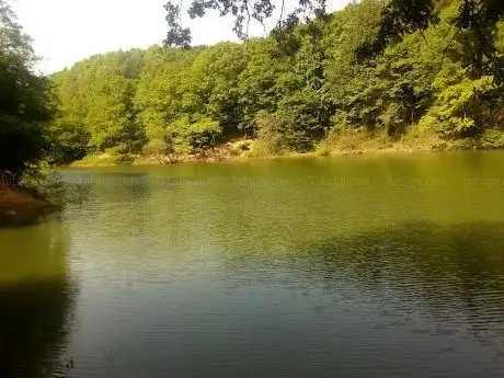 Photo de Park