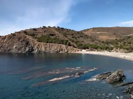 Photo de Plage de Peyrefite