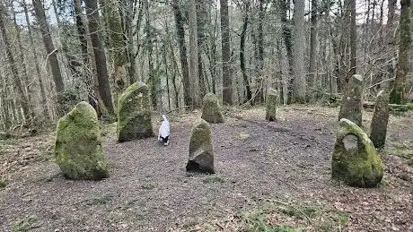 Ravensdale Forest Recreation Area